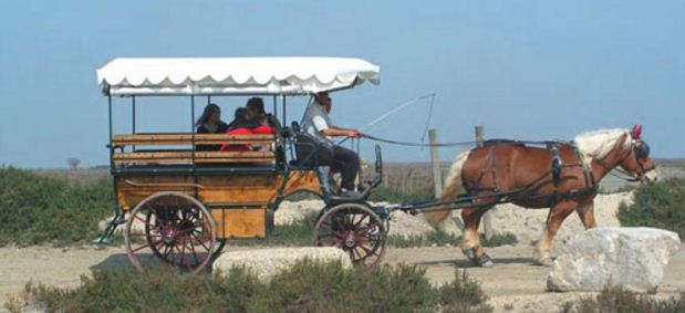 Location de calèche, touristes, balade